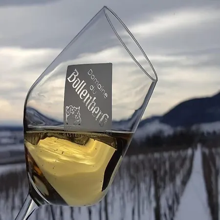 Hotel Du Bollenberg - Restaurant 