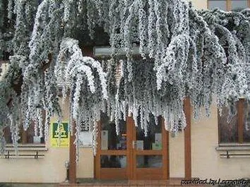 Du Bollenberg - Restaurant 