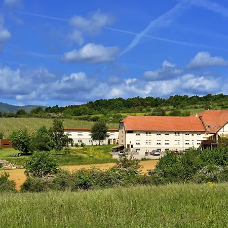 Du Bollenberg - Restaurant 