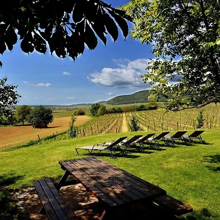 Du Bollenberg Cit'hotel - Restaurant Côté Plaine - De La Colline Hotel