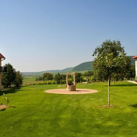 Hotel Du Bollenberg Cit'hotel - Restaurant Côté Plaine - De La Colline