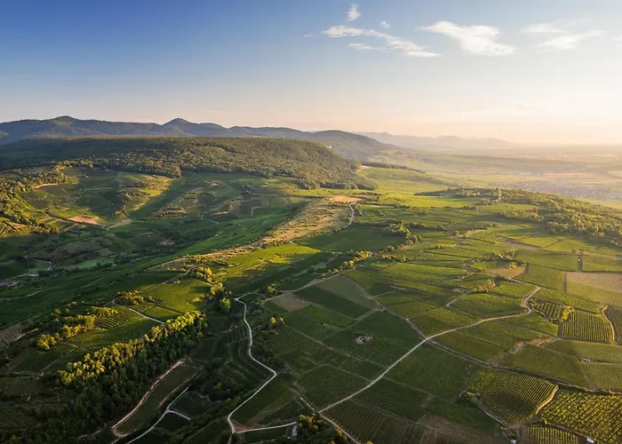 Du Bollenberg - Restaurant 