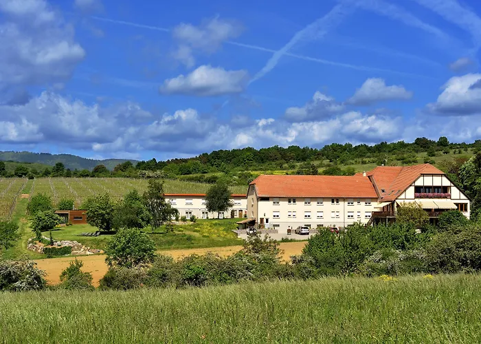 Du Bollenberg - Restaurant 