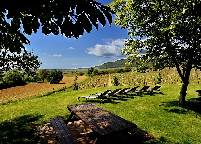 Du Bollenberg - Restaurant 