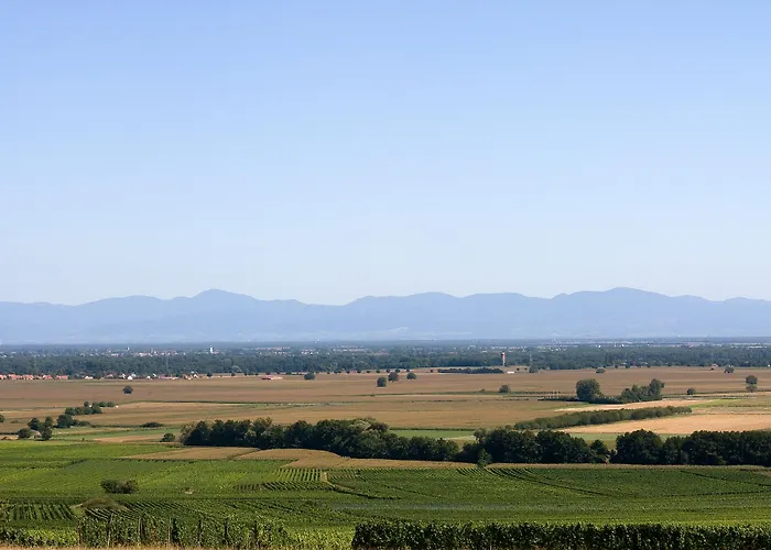 Hotel Du Bollenberg - Restaurant 